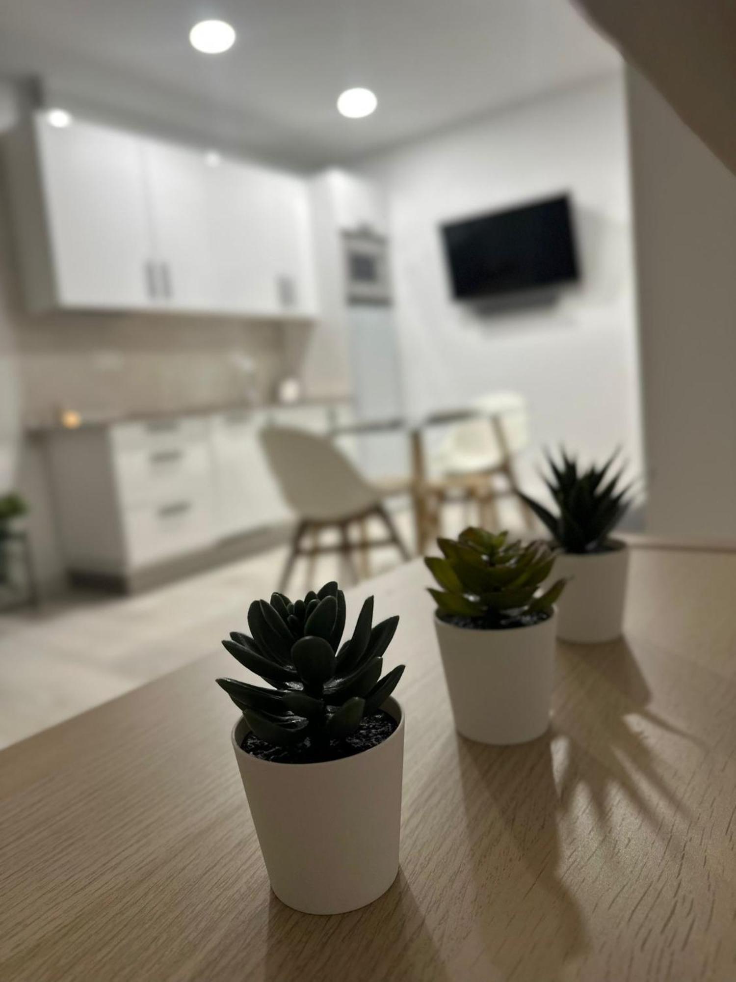 Loft Coqueto Cerca De La Playa Apartment Málaga